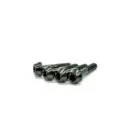 Titanium Hayes Dominion Brake Lever Clamp Bolt Set (4x M4x18)
