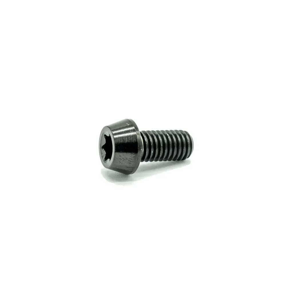 Ti Bolt M5x10 T25