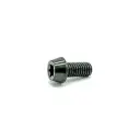 Ti Bolt M5x10 T25