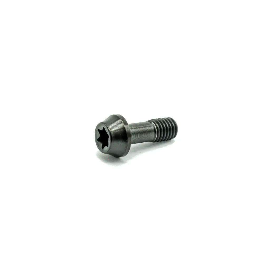 Ti Bolt M5x14 T25