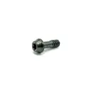 Ti Bolt M5x14 T25