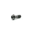Ti Bolt M6x15 T25