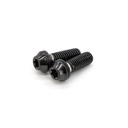 Ti Brake Mount Bolt M6x18 T25
