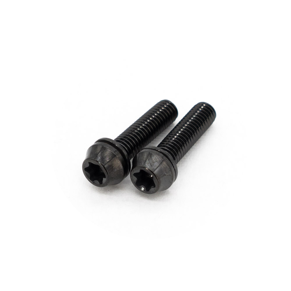 Ti Bolt M5x20 T25