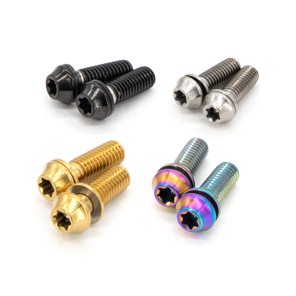 Ti Brake Mount Bolt M6x18 T25