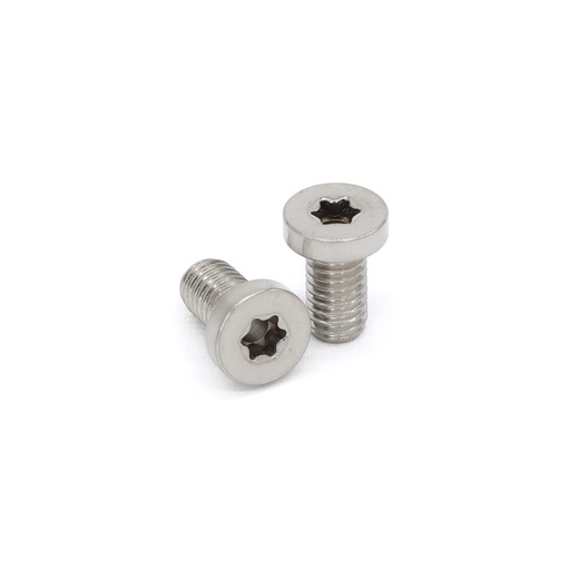 [1000131] 2x M6x11 SS Hollow Bolts
