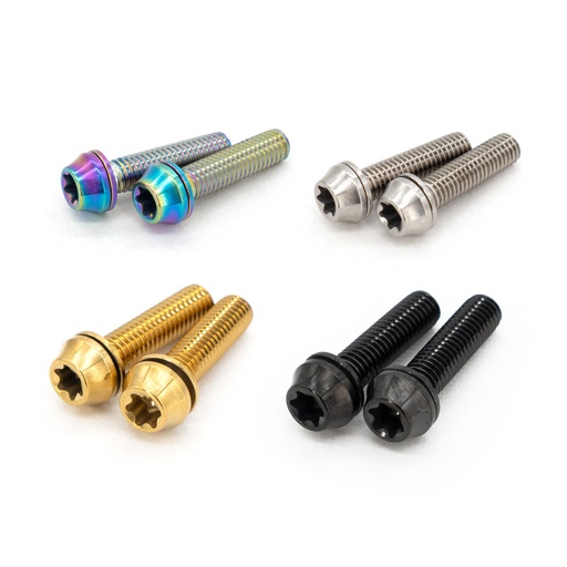 Ti Bolt M5x20 T25